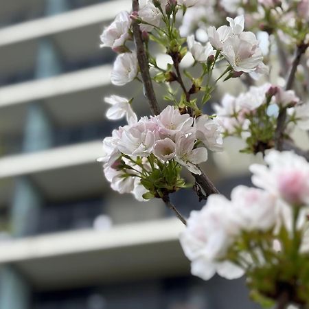 Japandi Studio Apartment, Free Parking Budapeszt Zewnętrze zdjęcie